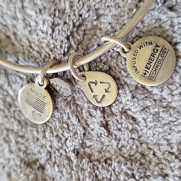 Alex And Ani Bracelet - Picture 3 of 4